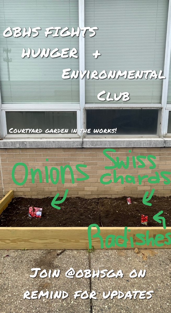 ObhsEnvi's tweet photo. Planting in the OBHS courtyard garden has officially begun! Please be mindful and don't touch anything as we have students putting hard work into this.
🌻🧅 🫑
We encourage you (teachers included) to take pictures and tag us, as well as @OBFightsHunger &amp; #obhsgarden

@FazioSally https://t.co/3eayr5LvJ1