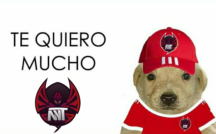 TeamNyitus's tweet photo. Que bien se levante un Nyiter después del 2-0 de ayer. 😈🤘

#AnotherNyitusDiff https://t.co/z2kaVd5Ewg