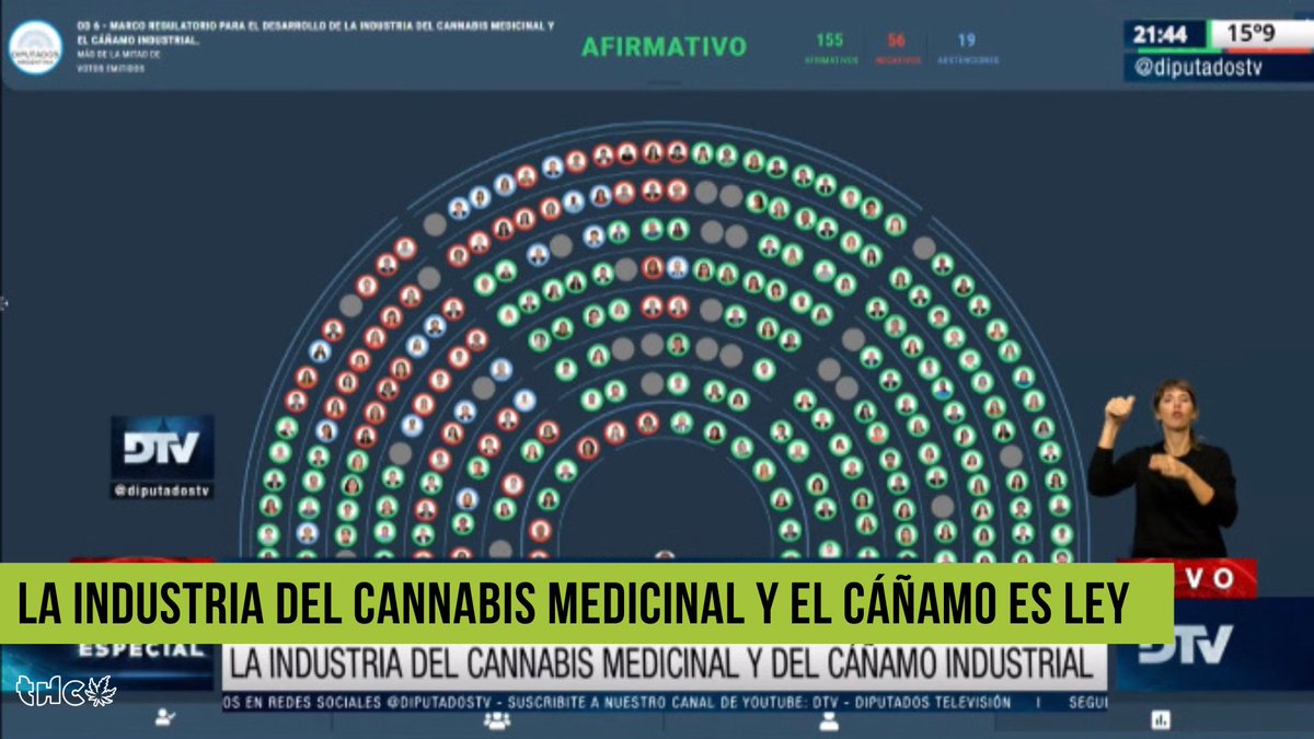 revistaTHC's tweet photo. ✅ Luego de un intenso debate, la cámara de diputados aprobó la ley de Marco regulatorio para el desarrollo de la industria del cannabis medicinal y el cáñamo

🗳 Fueron 155 votos a favor, 56 en contra y 19 abstenciones

🧵 ABRIMOS HILO 👇 https://t.co/eytBCygXbF