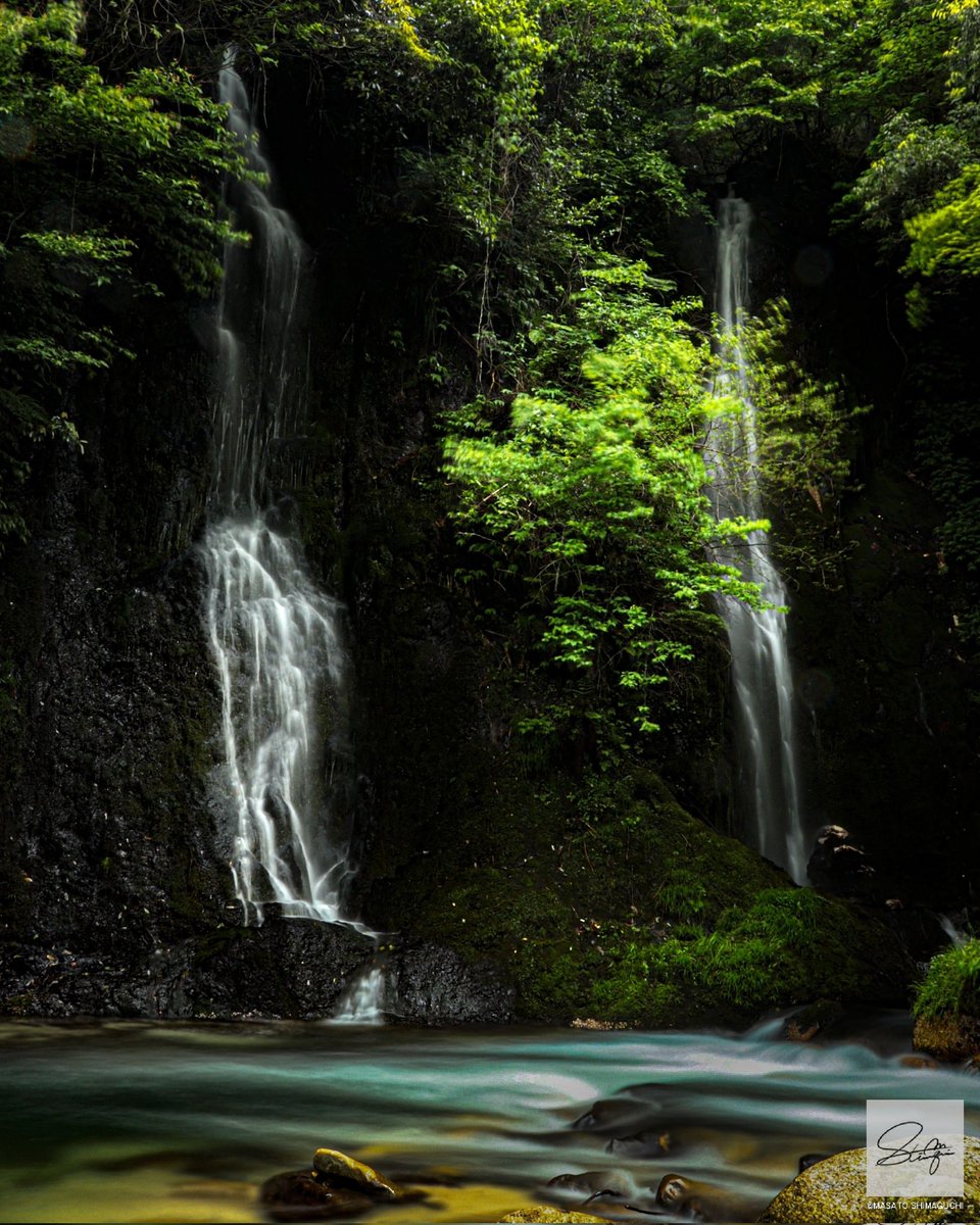 Location: #岐阜
Date:2022.4
Camera: #Canon

#滝
#夫婦滝
#川
#マイナスイオン
#揖斐川
#熊出没注意
#gifuphoto
#impressed_jp
#japan_bestpic_
#japan_gallery
#japan_photogroup
#bestphoto_japan
#photo_jpn
#japan_of_insta
#retrip_japan
#ap_japan
#art_of_japan
#東京カメラ部
#jp_portrait部