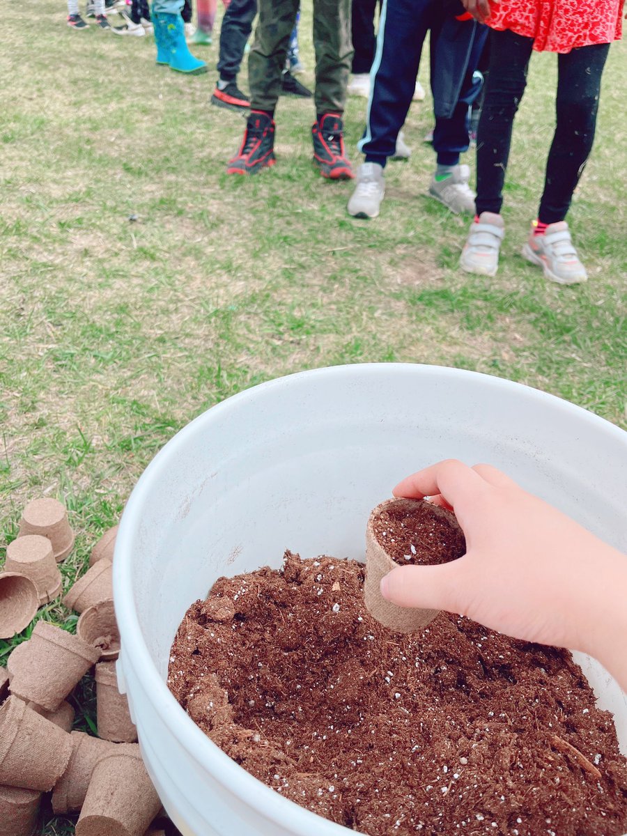 MissGMah's tweet photo. All gr 2โs @BelParkCBE had fun planting! Weโre preparing sunflowers and squash so we can plant them later while connecting with and taking time to appreciate the land. We also got to play cooperative games together on such a nice day ๐ #Belpark #WeAreCBE #CBEArea1 @AddisonHAB https://t.co/sExBA0mHwr