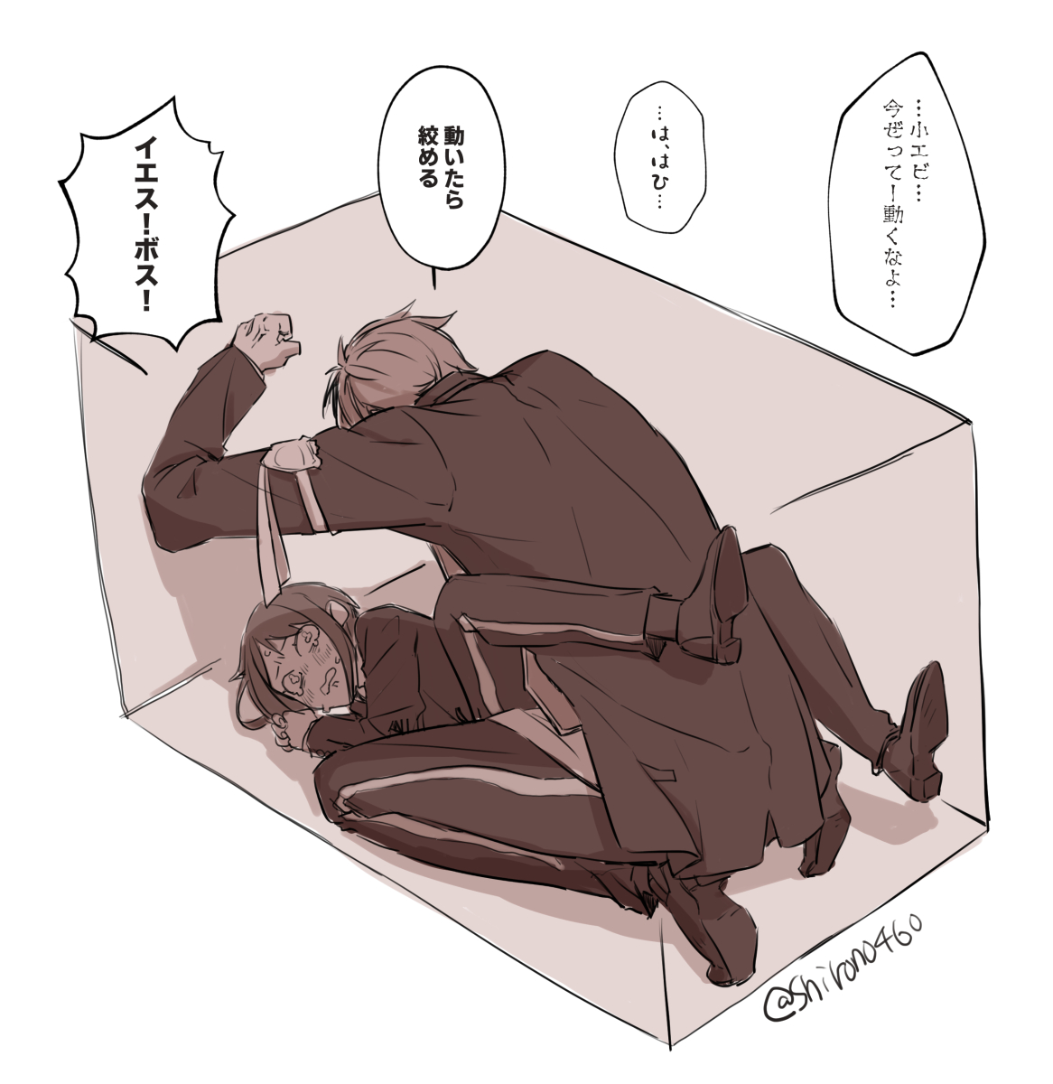 箱に🦈🦐閉じこめました。 
