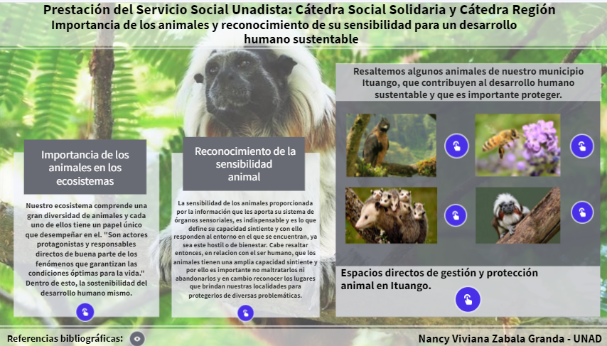 ZabalaGranda's tweet photo. ¡Hola!
(Por favor, ingresar al enlace para apreciar toda la interactividad).
https://t.co/o415ycODS8

#SERVICIOSOCIALUNADISTAENCASA https://t.co/JaBOCFascV
