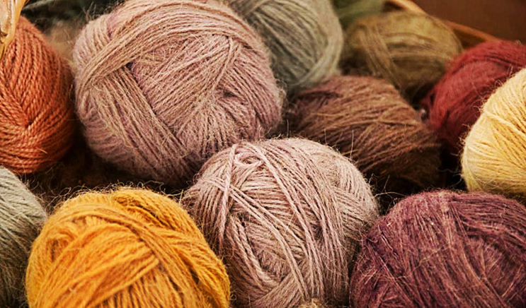 gemra_pucp's tweet photo. La crianza de alpacas involucra a 82,459 productores agropecuarios, principalmente de siete regiones del Perú:  Puno, Cusco, Arequipa, Huancavelica, Apurímac, Ayacucho y Pasco. Según el Minagri, en 2018 se exportaron más de 6,500 toneladas de fibra de alpaca en China e Italia. https://t.co/ml7F2KcGHX