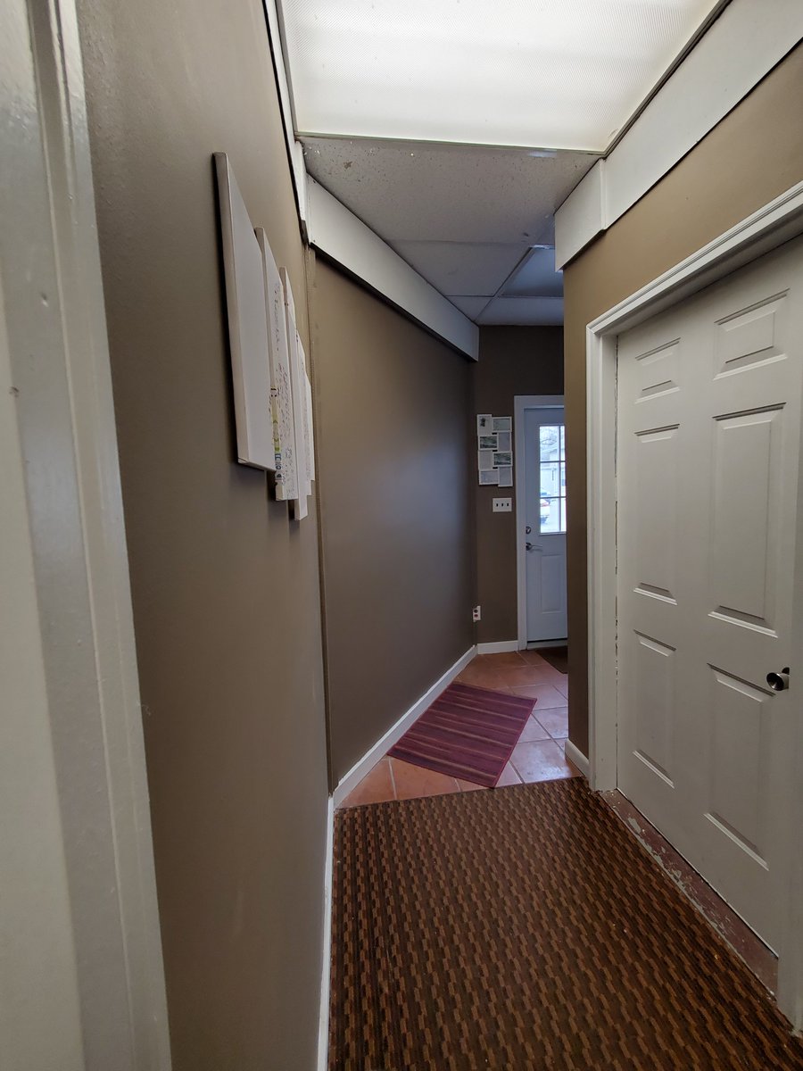 Bello Voice Studio tweet media