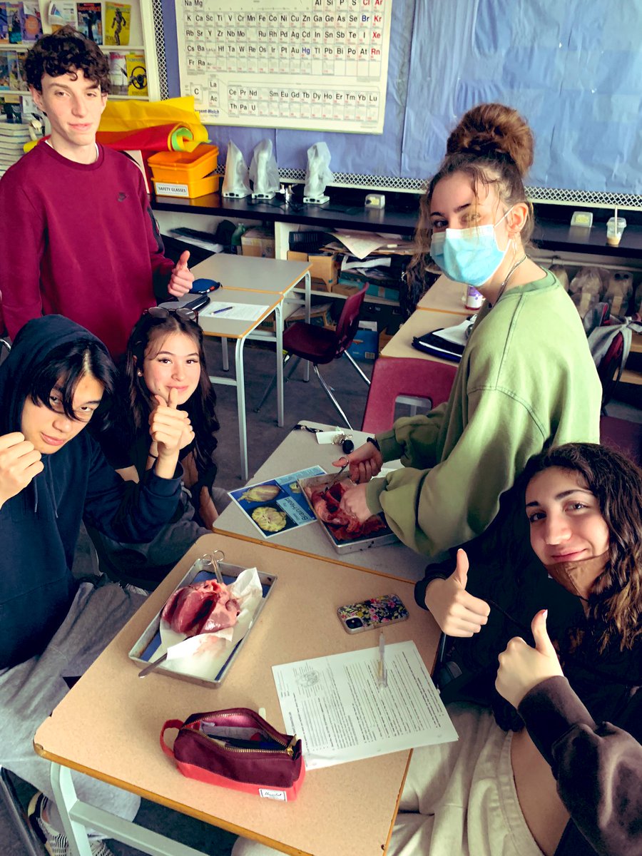 adventuresinbio's tweet photo. This crew has ❤️ #BNSAnatomyPhysiology12  #dissectionday https://t.co/BuFeLdKekD