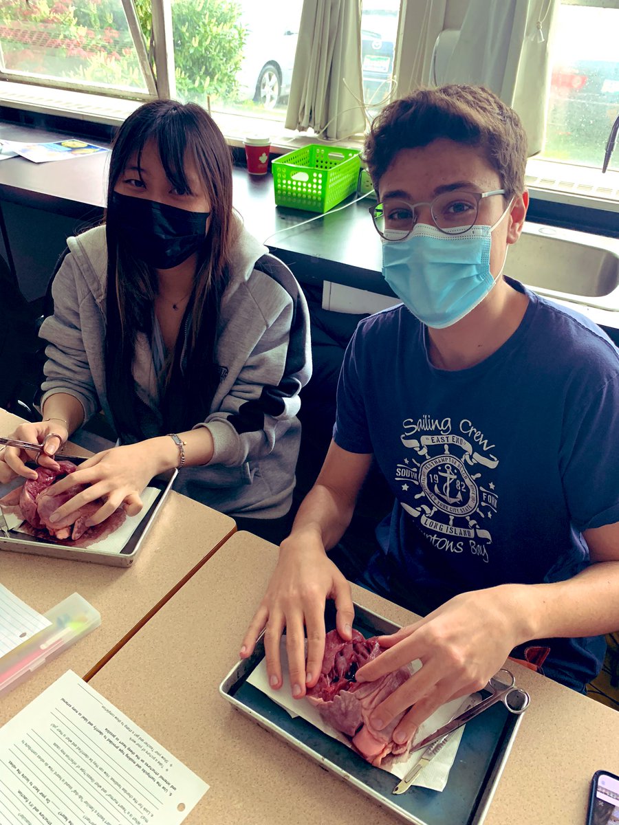 adventuresinbio's tweet photo. This crew has ❤️ #BNSAnatomyPhysiology12  #dissectionday https://t.co/BuFeLdKekD
