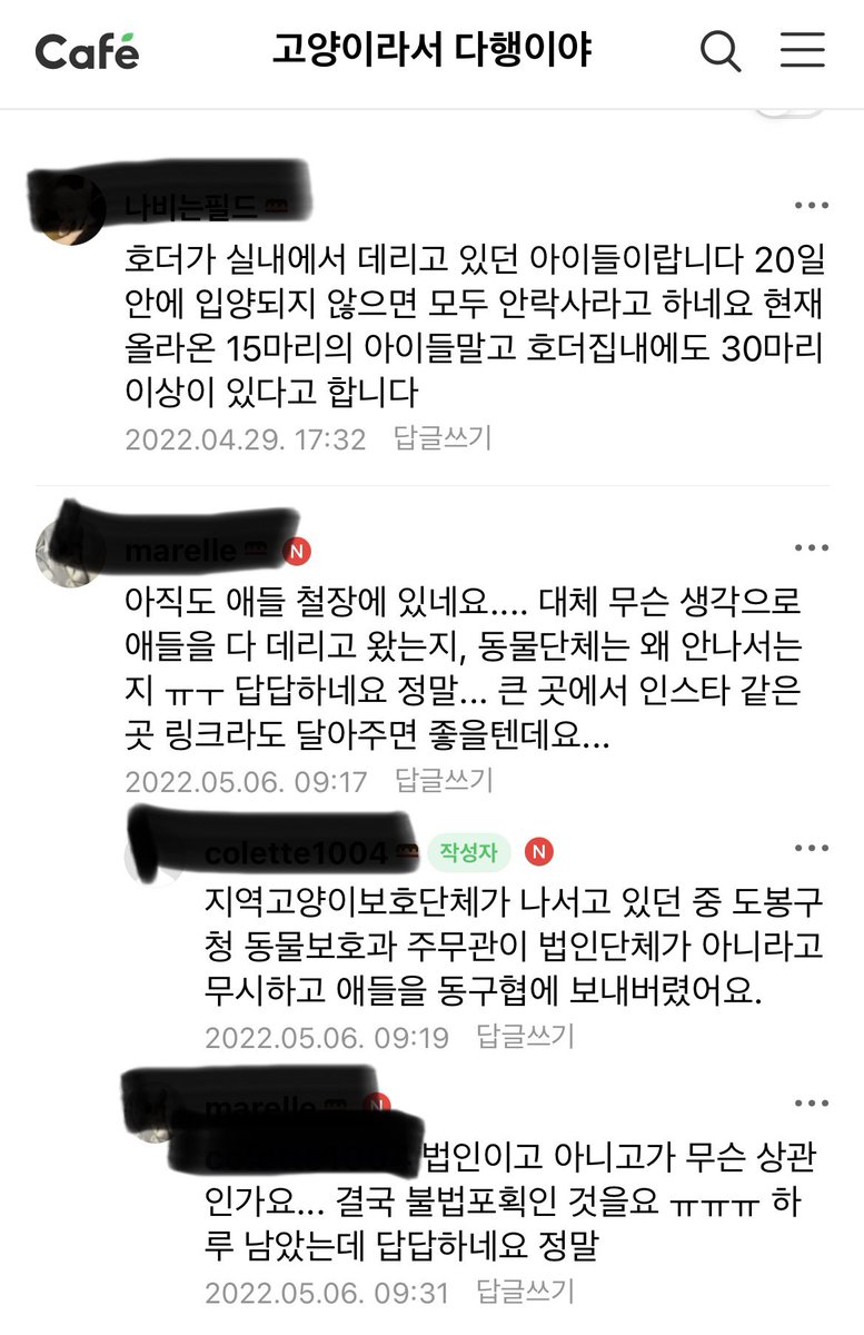 도봉구 동물보호과에서 호더 집에 있던 애들 지역단체가 나선다는 데도 동구협으로 보내버려서 20일 후 안락사래요. 호더라도 통통하니  잘 먹인 것 같은데…성묘 입양 고려하는 분들은 여기도 봐주세요