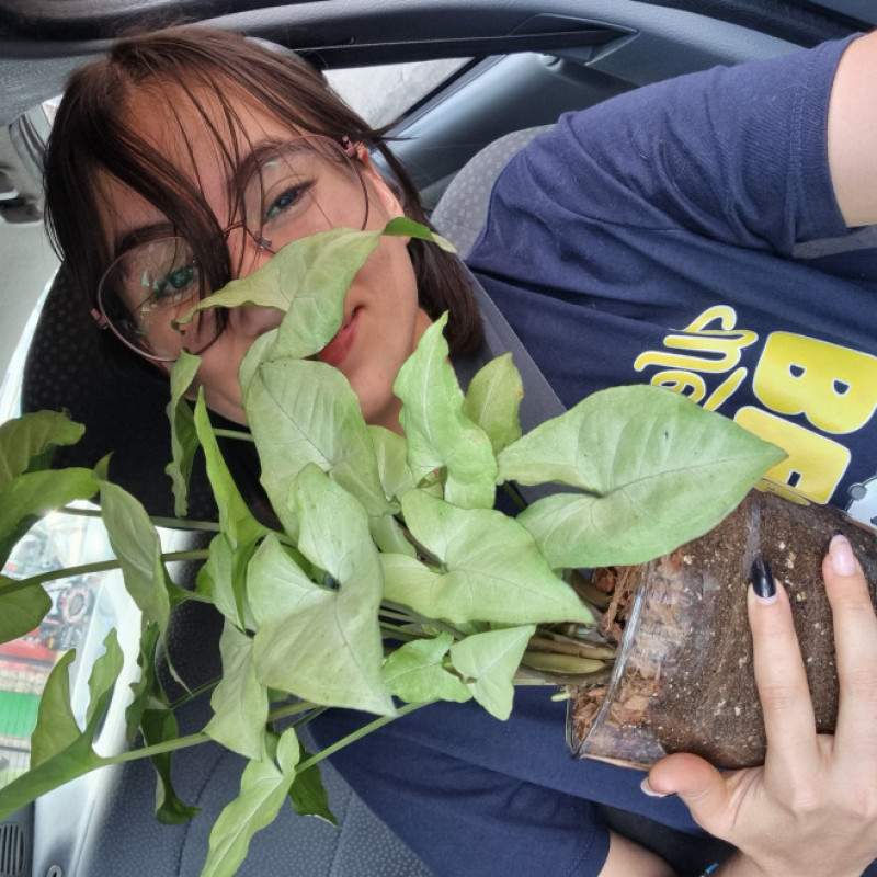 TW Pornstars - D A N I L I S B O A🌻. Twitter. Buy Me a Plant!! by