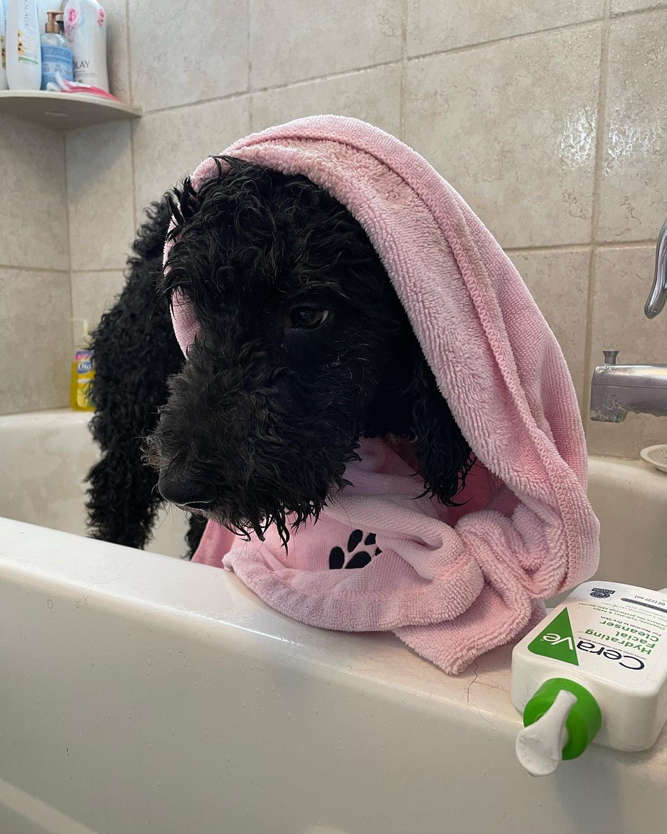 🧼