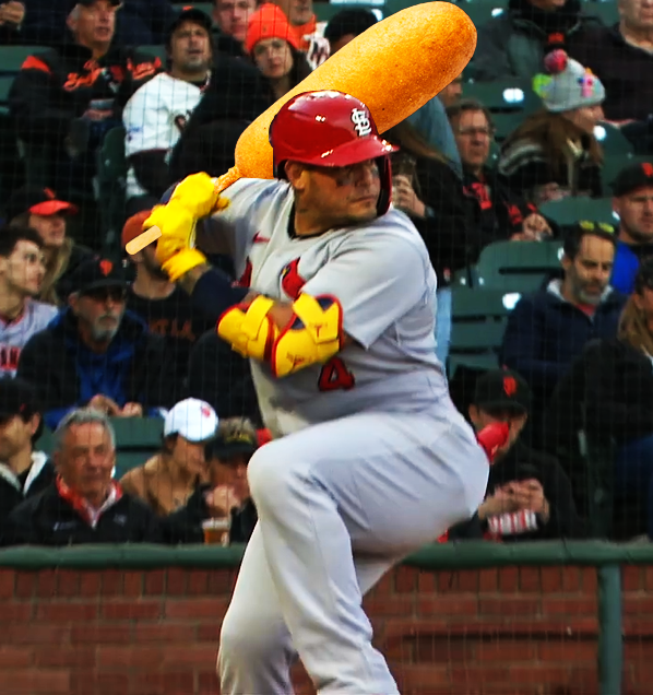 cardinalsgifs's tweet photo. https://t.co/mgJlwjOtDj