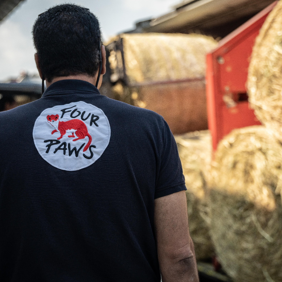 fourpawsAU's tweet photo. First milestone accomplished! #FoodForAnimals 🇺🇦 

In cooperation with @unsereOEBB, 20 tons of animal food were transported to the Ukrainian border by train. Now they're loaded on trucks towards #Kyiv Zoo and later Kharkiv, Odessa, Mykolayiv, Cherkassy &amp; Mena.

#EmergencyRelief https://t.co/UV1LuMPevp