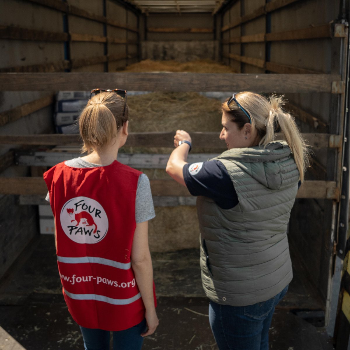 fourpawsAU's tweet photo. First milestone accomplished! #FoodForAnimals 🇺🇦 

In cooperation with @unsereOEBB, 20 tons of animal food were transported to the Ukrainian border by train. Now they're loaded on trucks towards #Kyiv Zoo and later Kharkiv, Odessa, Mykolayiv, Cherkassy &amp; Mena.

#EmergencyRelief https://t.co/UV1LuMPevp