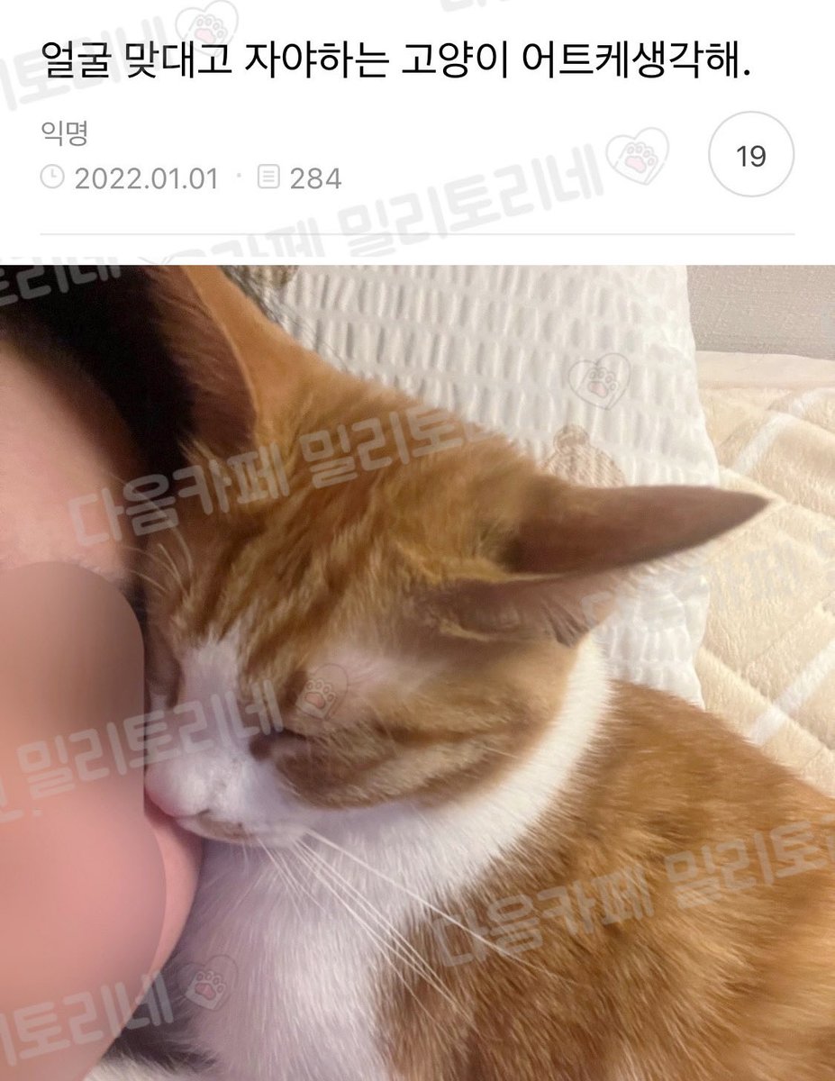 malrang_s_'s tweet photo. 최고라고 생각해요..... https://t.co/MQEdxn2DtU