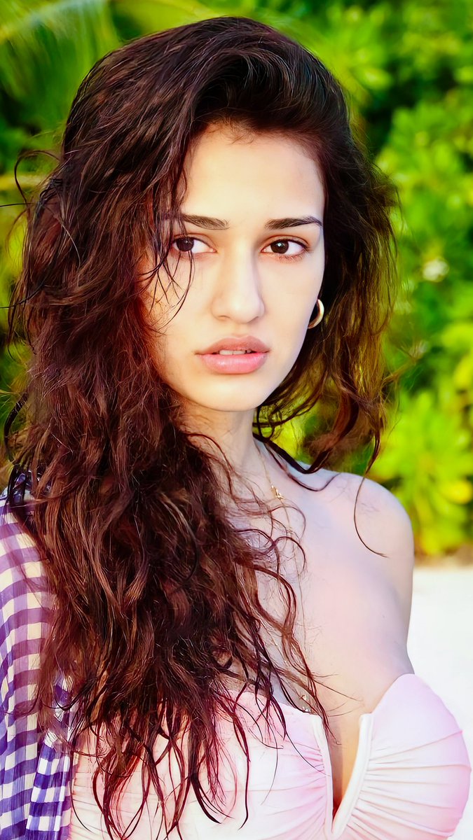 Disha Patani Commentary tweet media