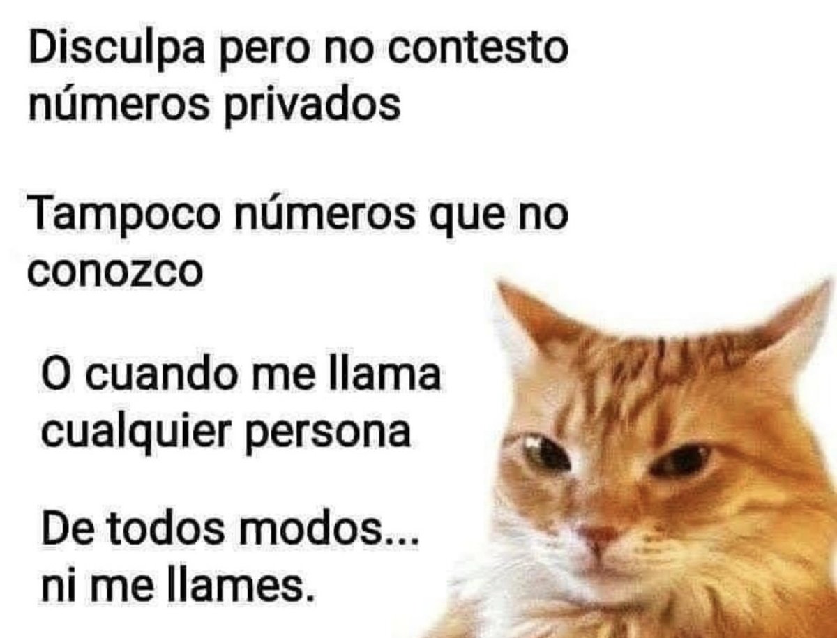 El Guarromántico (@guarromantico_) on Twitter photo 