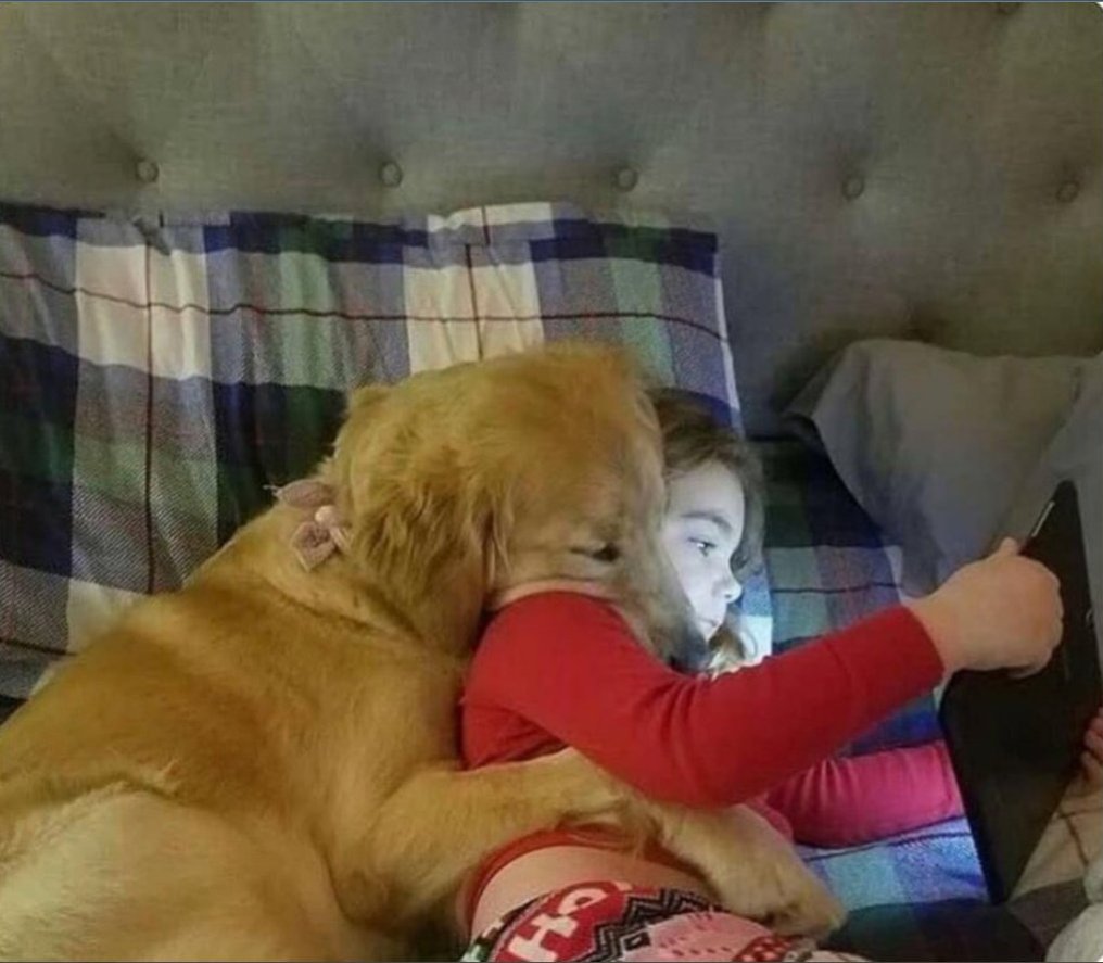 dinogodwhale's tweet photo. This hug 😍 https://t.co/fYziW4WSXG