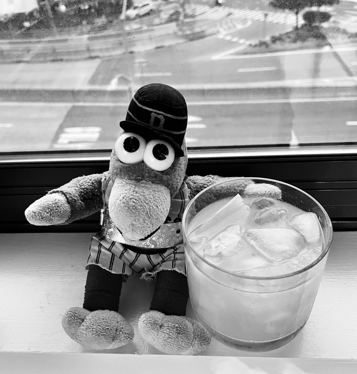 peteystink's tweet photo. happy stink-o de mayo ‘54 https://t.co/J1MZlvGoZa