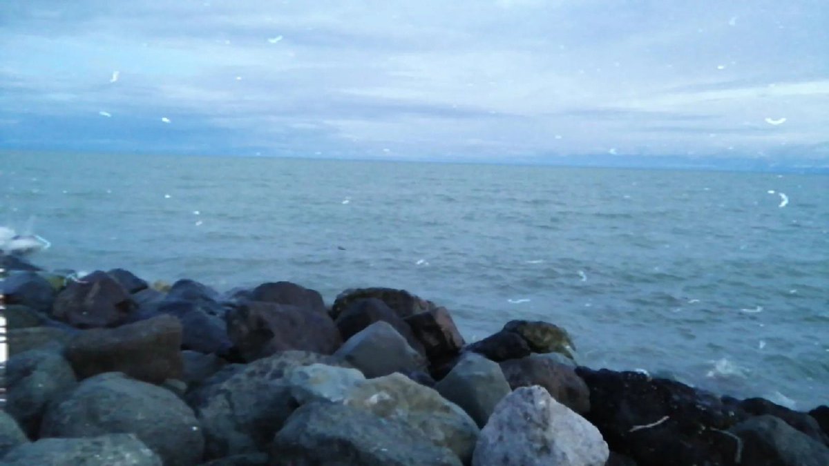 Вчера пока была возможность немного прогулялись, сегодня в 7:45 выходим работать