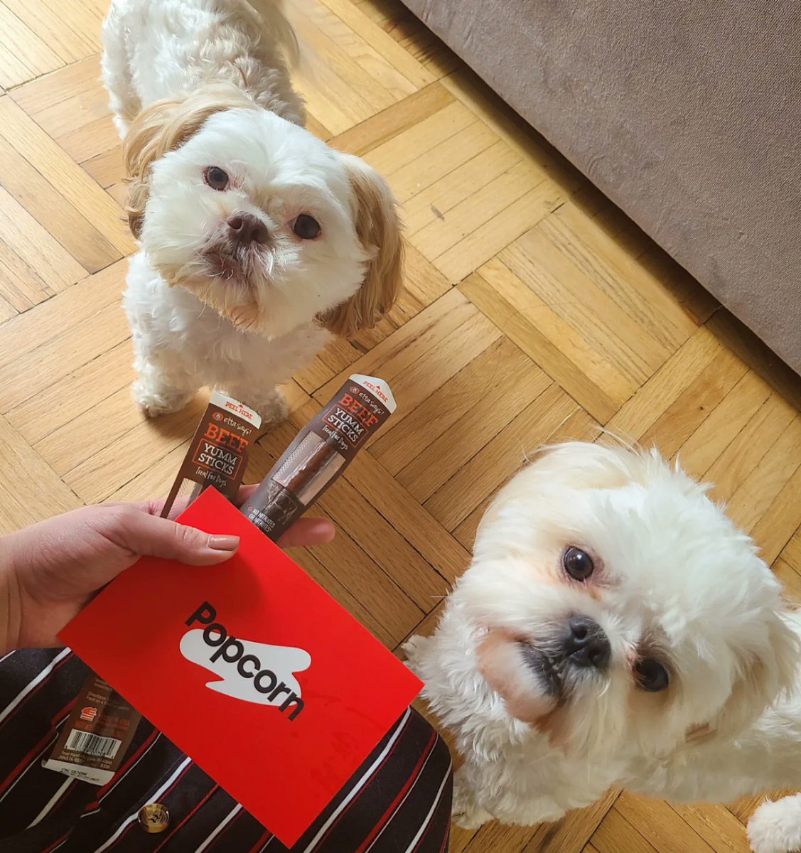 Sienna 🩷💜🩵✨️ tweet media