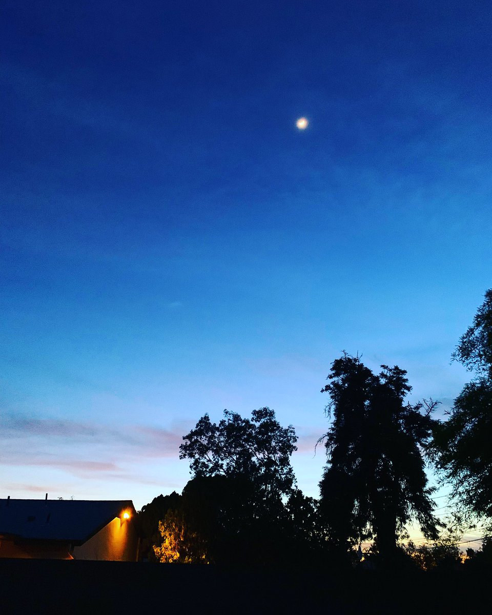 Phoenix moonrise