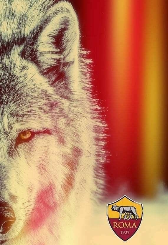 Мы в Финале ) Forza Roma!!!