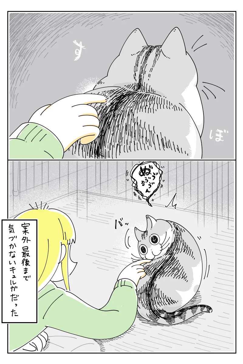 意外と気配に気付かない？気配で気付いてもらえることを期待し、猫の背後から指を近付けてみるも･･･！