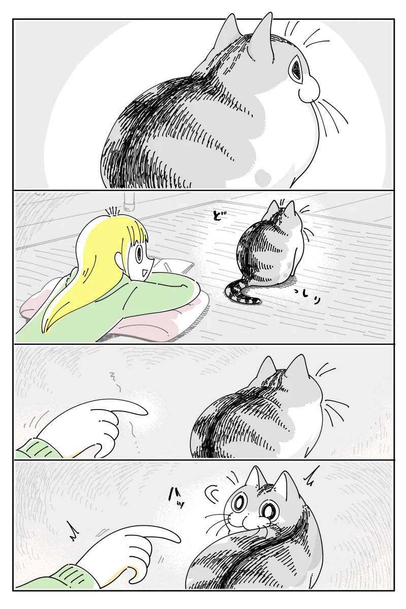 意外と気配に気付かない？気配で気付いてもらえることを期待し、猫の背後から指を近付けてみるも･･･！