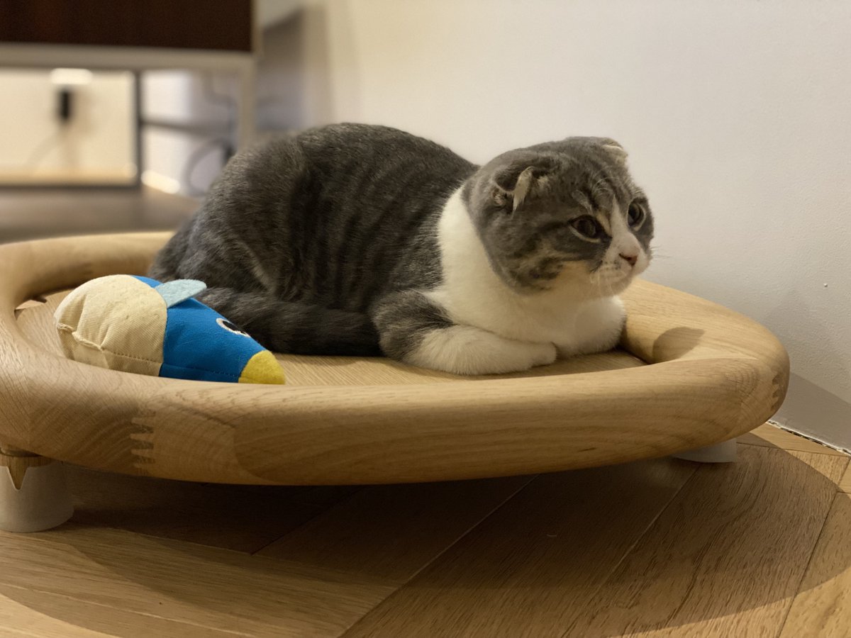 明日まで】KARIMOKU CAT RESTROOM カリモクキャット 猫トイレ