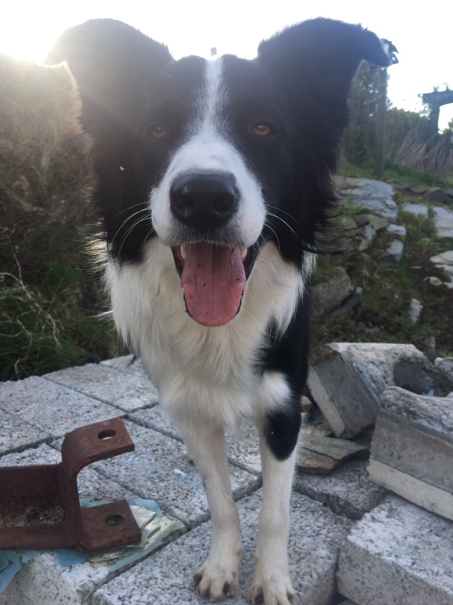 ella (perfect) tweet media