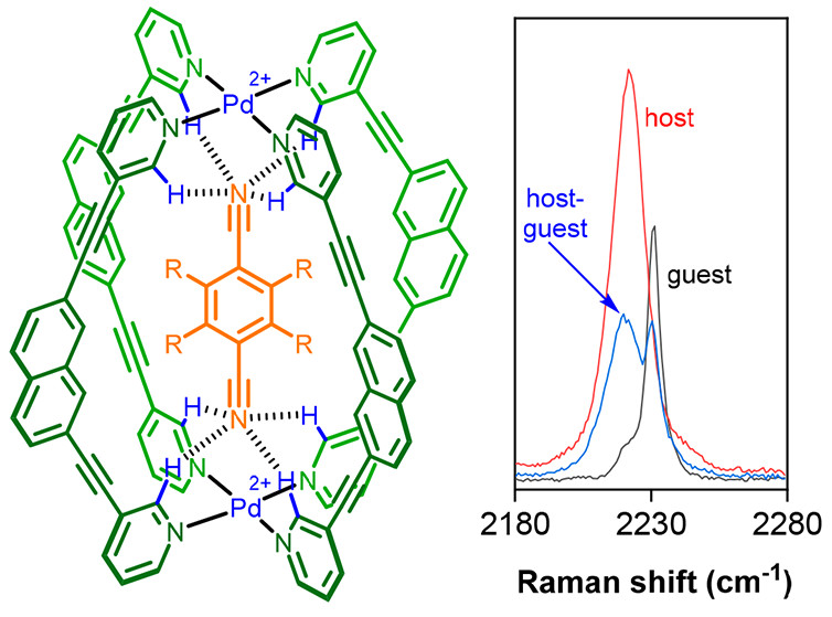 bhkenlo's tweet photo. Utilizing Raman Spectroscopy as a Tool for Solid- and Solution-Phase Analysis of Metalloorganic Cage Host–Guest Complexes https://t.co/YYt2K8bBP5 Graham, Brechin, Lusby, and co-workers @InorgChem #palladium #Pd2L4 #cage #Hbonding #CHπ #dicyanoarenes https://t.co/IpVqZPtbVY