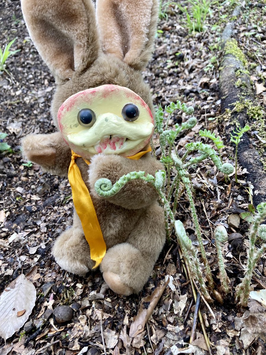 ProjectBadlands's tweet image. Shit I forgot to post my clayface doll stuff here didn’t I??? Sweetheart and Babytooth are my first!

#clayfacedoll #clayfaceplush #clayfaceplushie