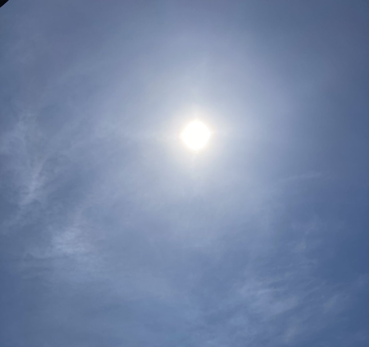 札幌只今25℃☀️✨ 急に夏〜🔥 今年の夏は北海道の外フェスも 色々開催されるみたい♪ 良かった〜 少しずつでも前向きに💪 連休 ずっとお仕事だった方 まだお休みの方も 楽しい華金を〜🤘 (前