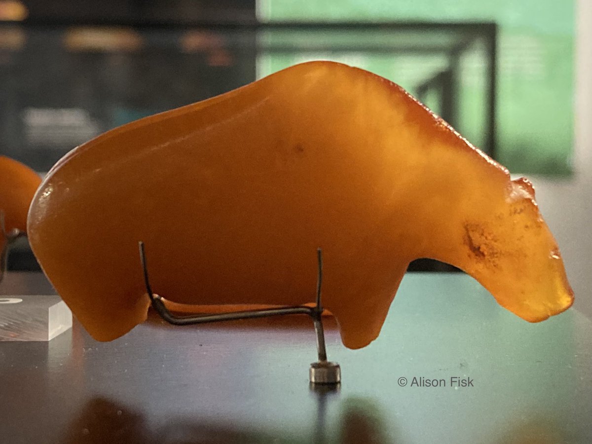 AlisonFisk's tweet photo. An ancient amber bear. Carved about 10,000 years ago, this magical find washed up on a beach at Fanø in Denmark from a submerged Mesolithic settlement under the North Sea. National Museum of Denmark. Photo: © Alison Fisk.

#FindsFriday
#Archaeology https://t.co/eekKuTGNsp