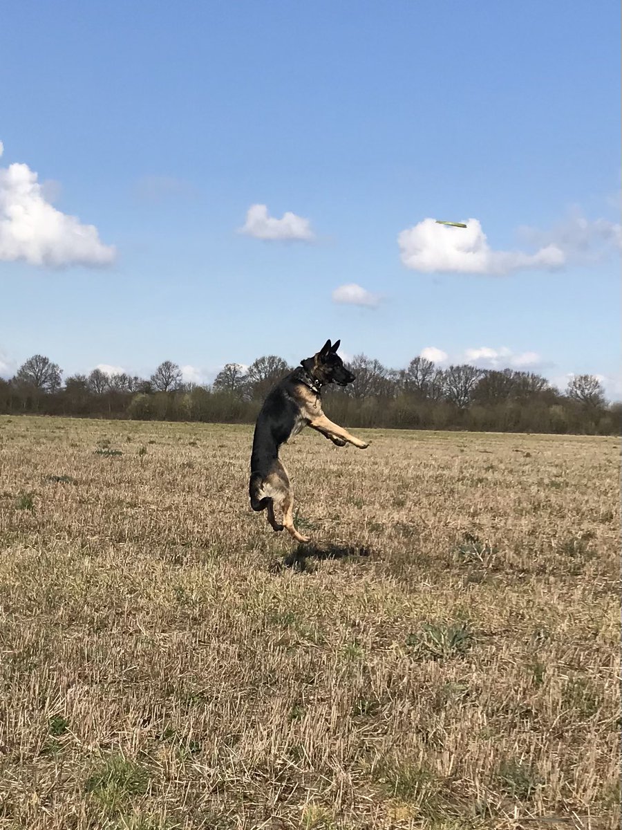 AgataFijalkow's tweet photo. Walking on air after yesterday’s #MAScreenwriting pitching event that included an afternoon of amazing, dynamic &amp; inspirational speakers, thank you @inkpapersandeep @haworth_agency @Philip_Lawrence and to our tutors @Lauraissound @Transmedianna @NFIB @LBU_LSA https://t.co/bJ1eGpk9ld