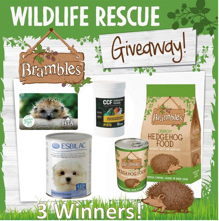 Brambles Pet & Wildlife tweet media