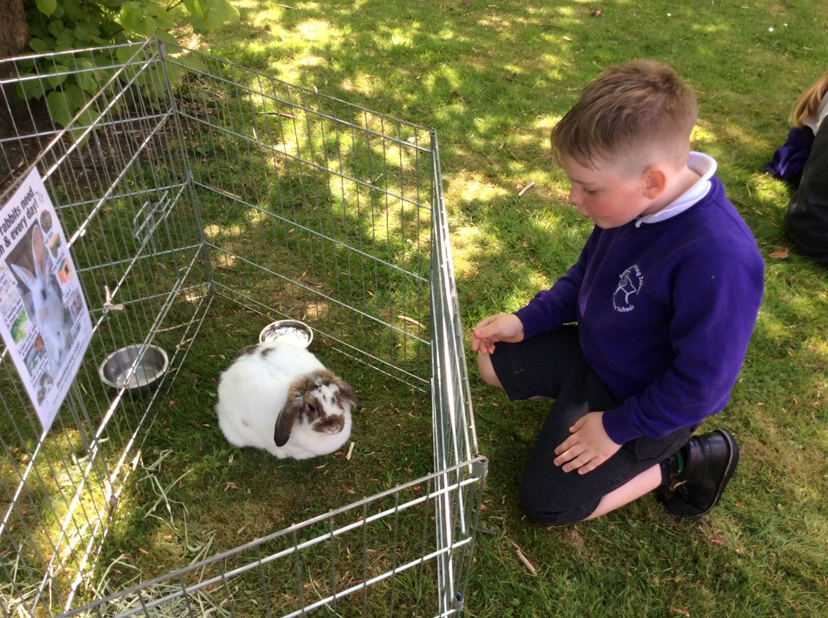 Spinning Infants tweet media