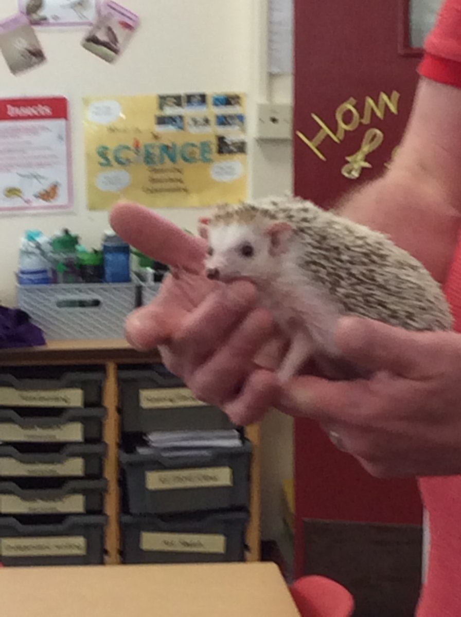 Spinning Infants tweet media