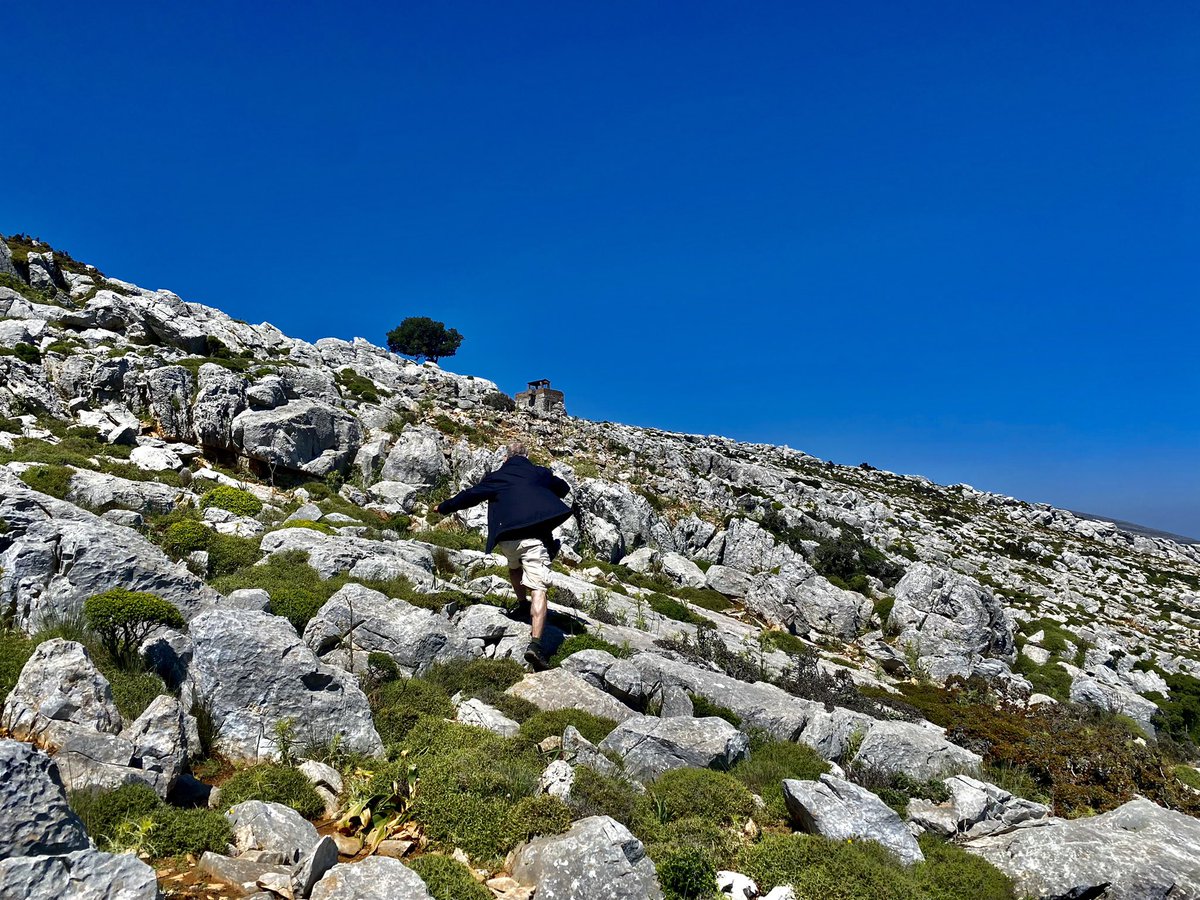 Annabaesle's tweet photo. OBEN!
#akramitis
#rhodos https://t.co/d1Jl3Yjfow
