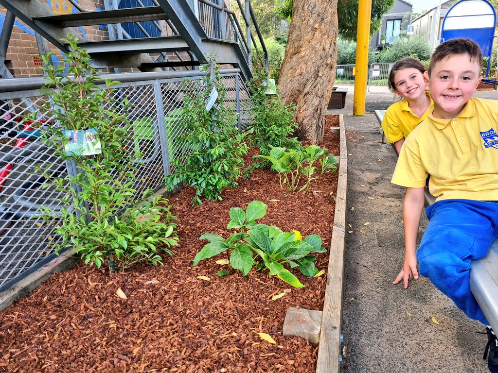 BrontePublic's tweet photo. Massive shout out to the @Mirvac crew who spent their day at @BrontePublic on Wednesday. Our school looks absolutely stunning with the new additions &amp; the lick of paint. Kids, teachers &amp; parents give it a BIG thumbs up 👍 

#eduation
#mirvac #outdoorclassroom https://t.co/dMvDbT0oKj