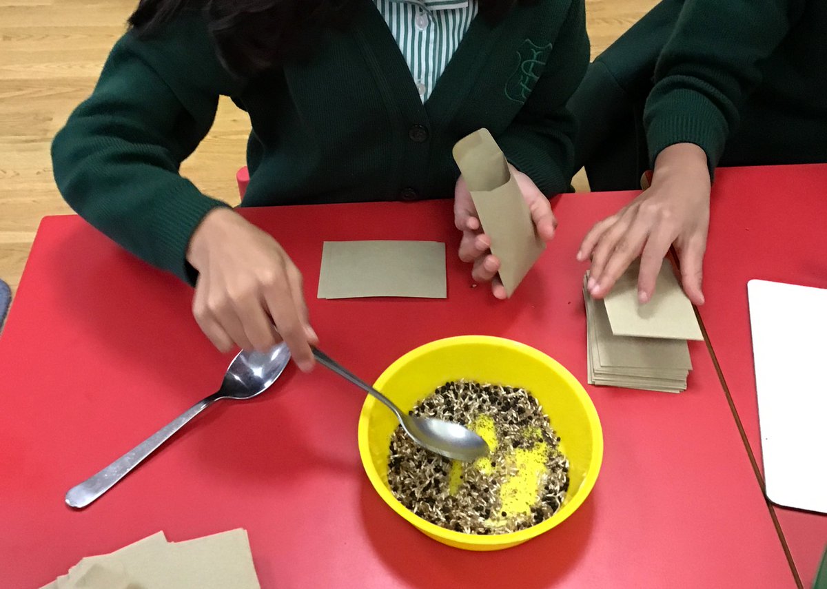 Our Eco Team are hard at work putting together packets of wildflower seeds from @ThinkDoCamden for students to take home to sow in gardens, windowboxes, or in a space where they have permission 💐 

#CamdenMeadow #CamdenBeeLine #EcoSchool 

Thanks to @VeoliaUK #SustainabilityFund