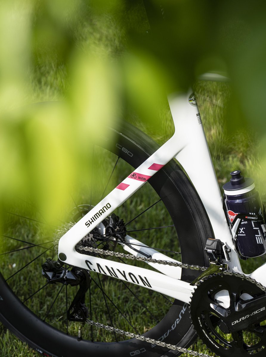 #Giro

How do you like our #Canyon Aeroad, with some green touches matching to our #VerdeComodoro jersey? 💚

And did you see the pink detail? 💞

#Giro105 #AmoreInfinito

<a href="/AlpecinCycling/">Alpecin Cycling</a> <a href="/canyon_bikes/">Canyon Bicycles</a> <a href="/RideShimano/">RideShimano</a> <a href="/selle_italia/">@selle_italia</a> <a href="/Elite_cycling/">Elite Cycling</a> #wahoobenelux <a href="/probikesticker/">Pro Bike Sticker</a>