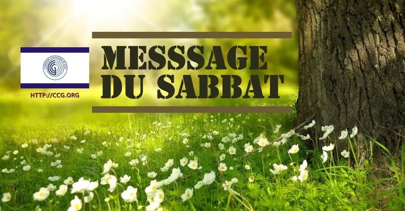 CCGFrancophone's tweet photo. La doctrine de l'#Unitarisme Radical est un signal d'alarme pour tous les officiers de CCG, car cela nous indique que l’#Esprit Saint ne travaille pas avec une personne qui défend ce point de vue et qu'elle enseigne de manière totalement contraire aux Saintes Écritures [..]