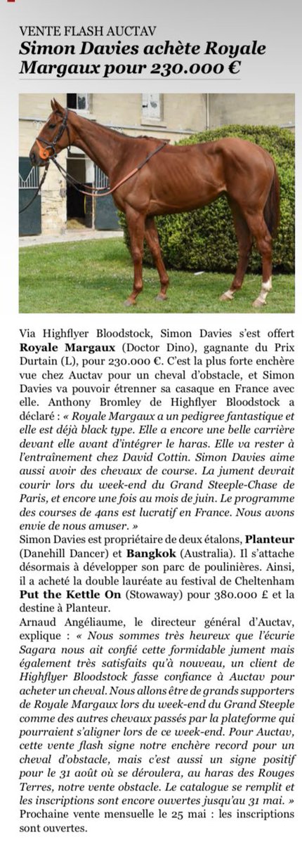 AuctavSales's tweet photo. 👀 vu dans @Jour_de_Galop : "Via @agentbloodstock, Simon Davies s'est offert ROYALE MARGAUX, gagnante du Prix Durtain (L) pour 230.000€. C'est la plus forte enchère vue sur AUCTAV pour un cheval d'obstacle". 
💫 Rendez-vous pendant le week-end du Grand Steeple ! https://t.co/JWyaSOWWRo