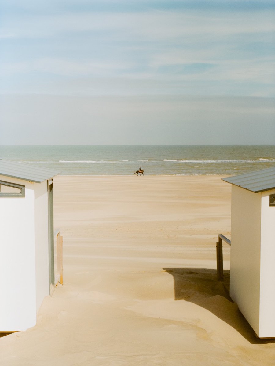 FilmMoreno's tweet photo. Gm! Very happy with my first roll of Kodak Gold 200 on 120 film. https://t.co/Lq87QQu00U