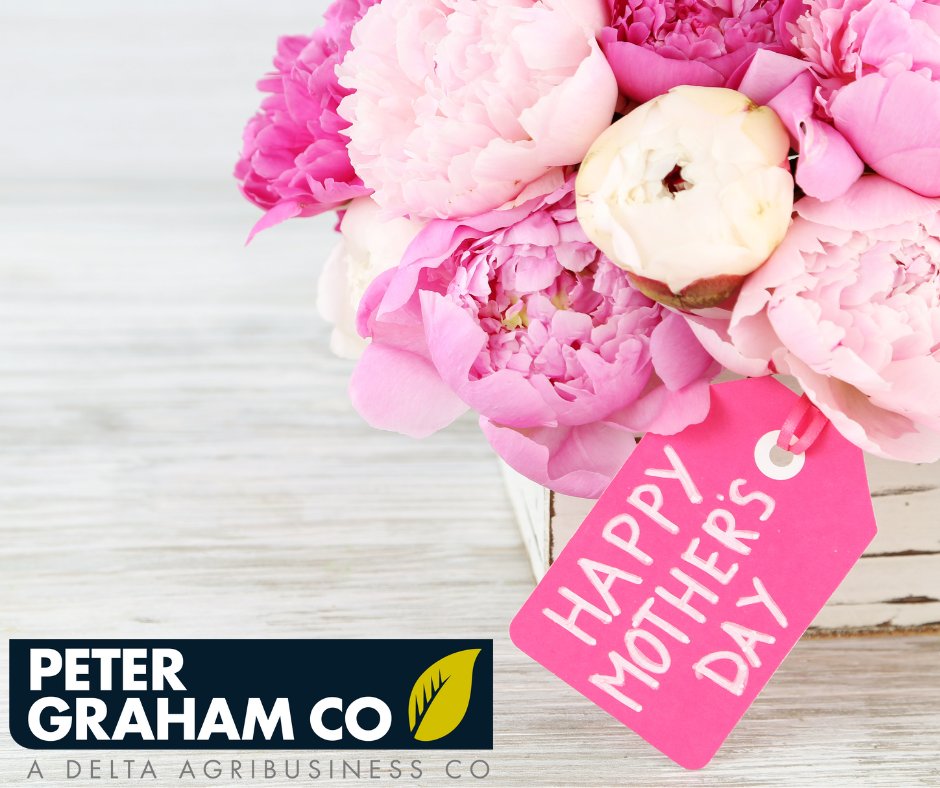 Peter Graham Co tweet media