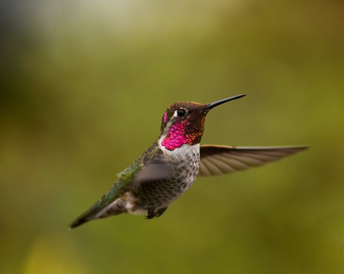 Kim Johnson tweet media