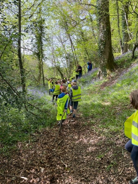 Tavistock Primary & Nursery School tweet media