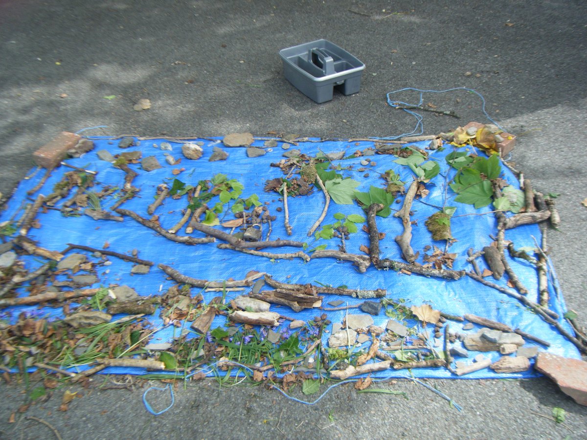 Tavistock Primary & Nursery School tweet media