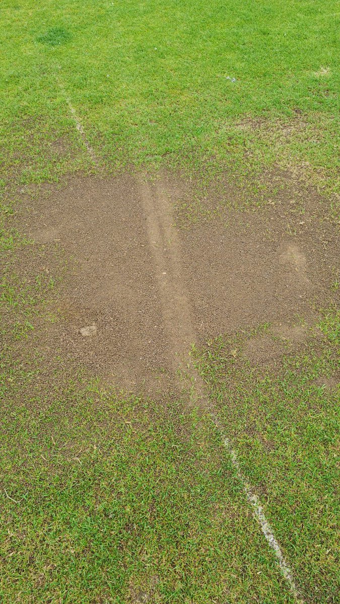 Read Cricket Club tweet media